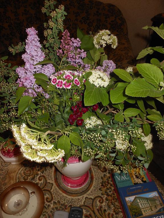Fonagy Es Walter Vendeg- Es Borhaz Bed & Breakfast Vác Dış mekan fotoğraf