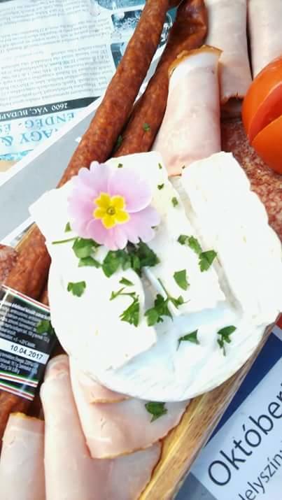 Fonagy Es Walter Vendeg- Es Borhaz Bed & Breakfast Vác Dış mekan fotoğraf