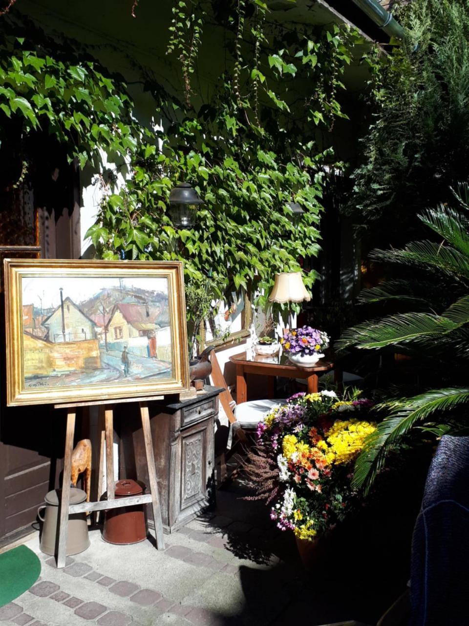 Fonagy Es Walter Vendeg- Es Borhaz Bed & Breakfast Vác Dış mekan fotoğraf
