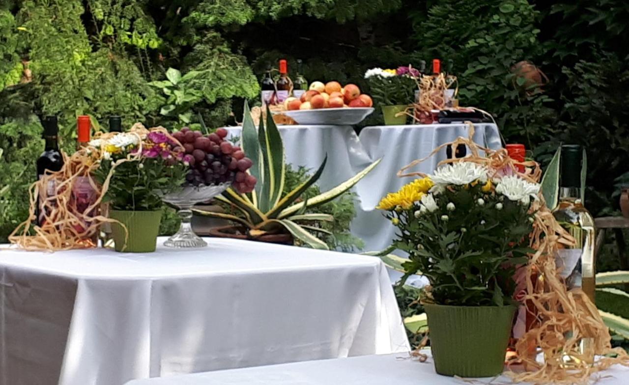 Fonagy Es Walter Vendeg- Es Borhaz Bed & Breakfast Vác Dış mekan fotoğraf